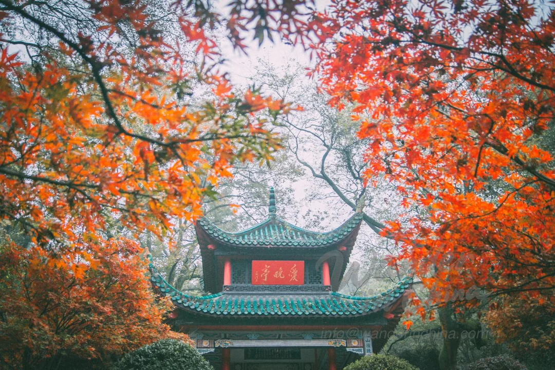 Aiwan Pavilion: A Stunning Retreat on Changsha's Yuelu Mountain