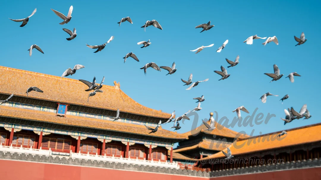 Beijing Scenery 3