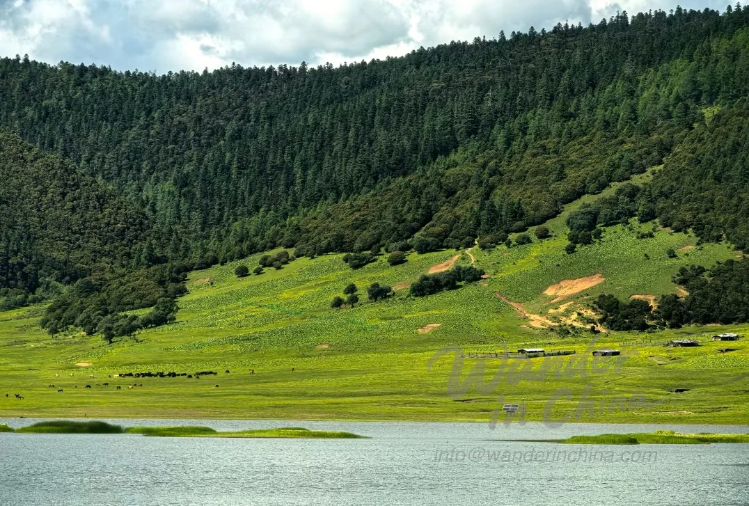 Lago Bitahai en el Parque Nacional de Pudacuo, Shangri-La.