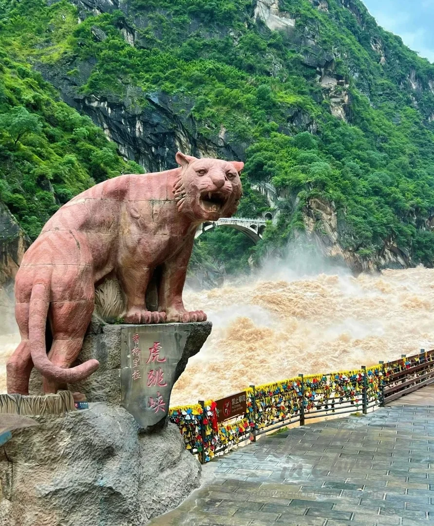 虎跳峽的壯麗景色。