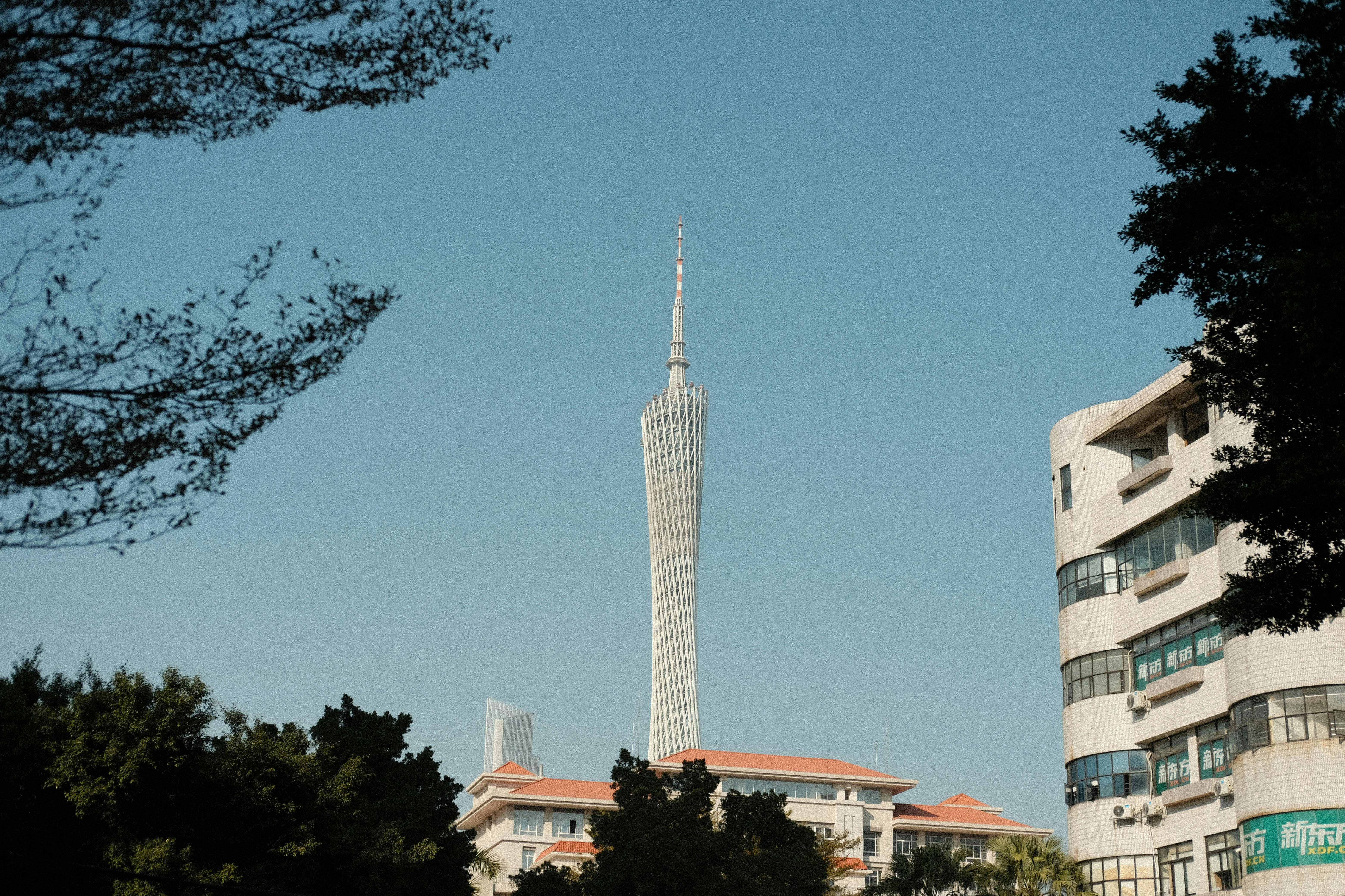 広州タワー広州の日中の眺め。