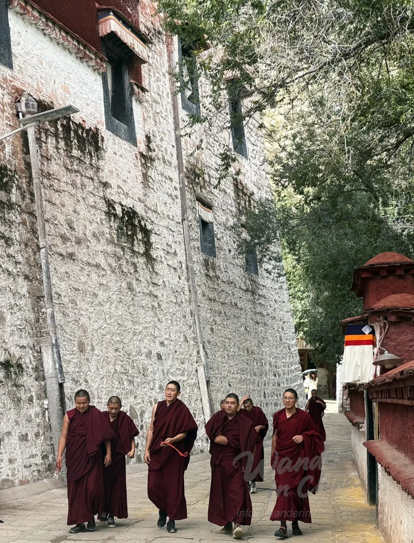 Primer plano de los debates de monjes del Monasterio de Sera.