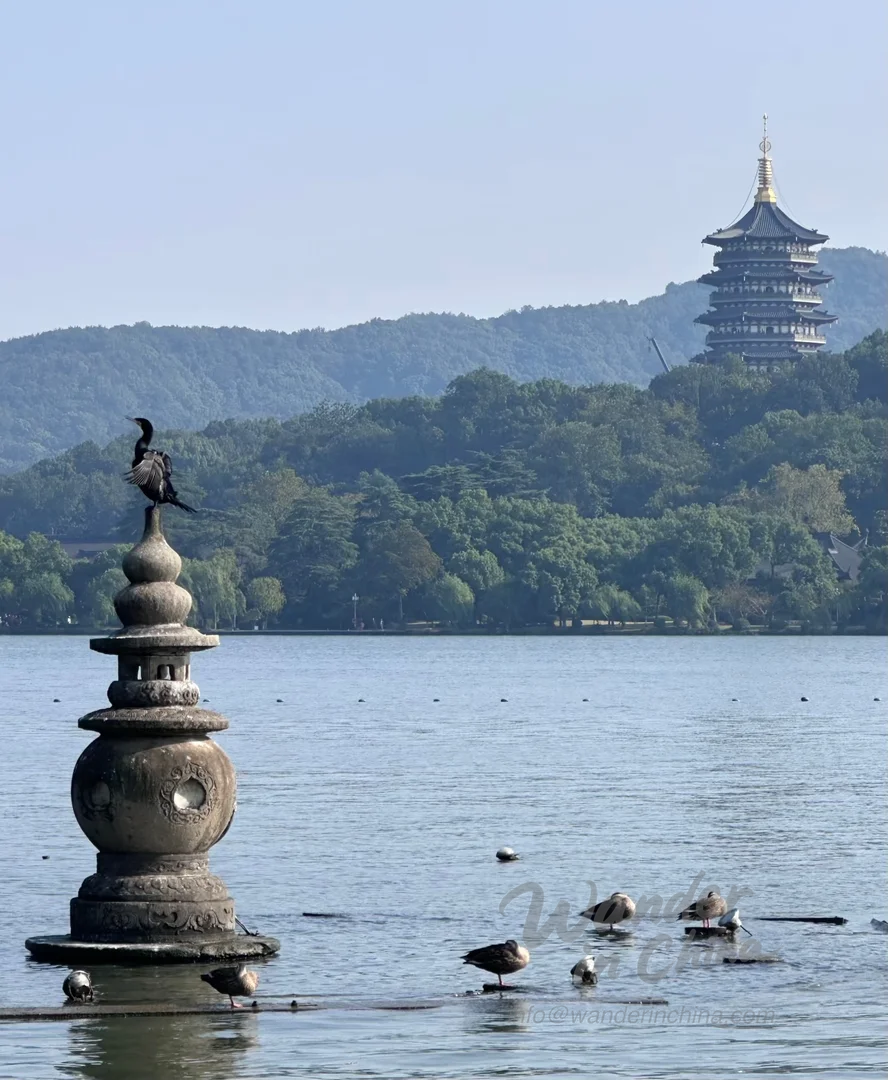 Trois bassins reflétant la lune la nuit, lac de l’Ouest.